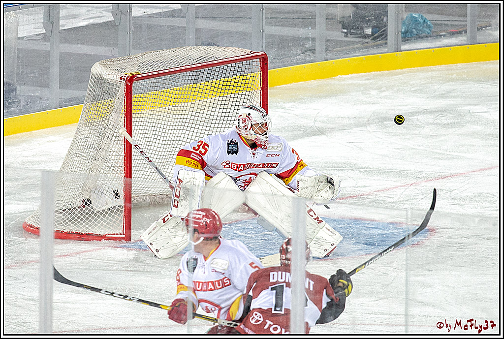 DEL Wintergame; Koelner Haie - Duesseldorfer EG; Koeln, 12.01.2019
